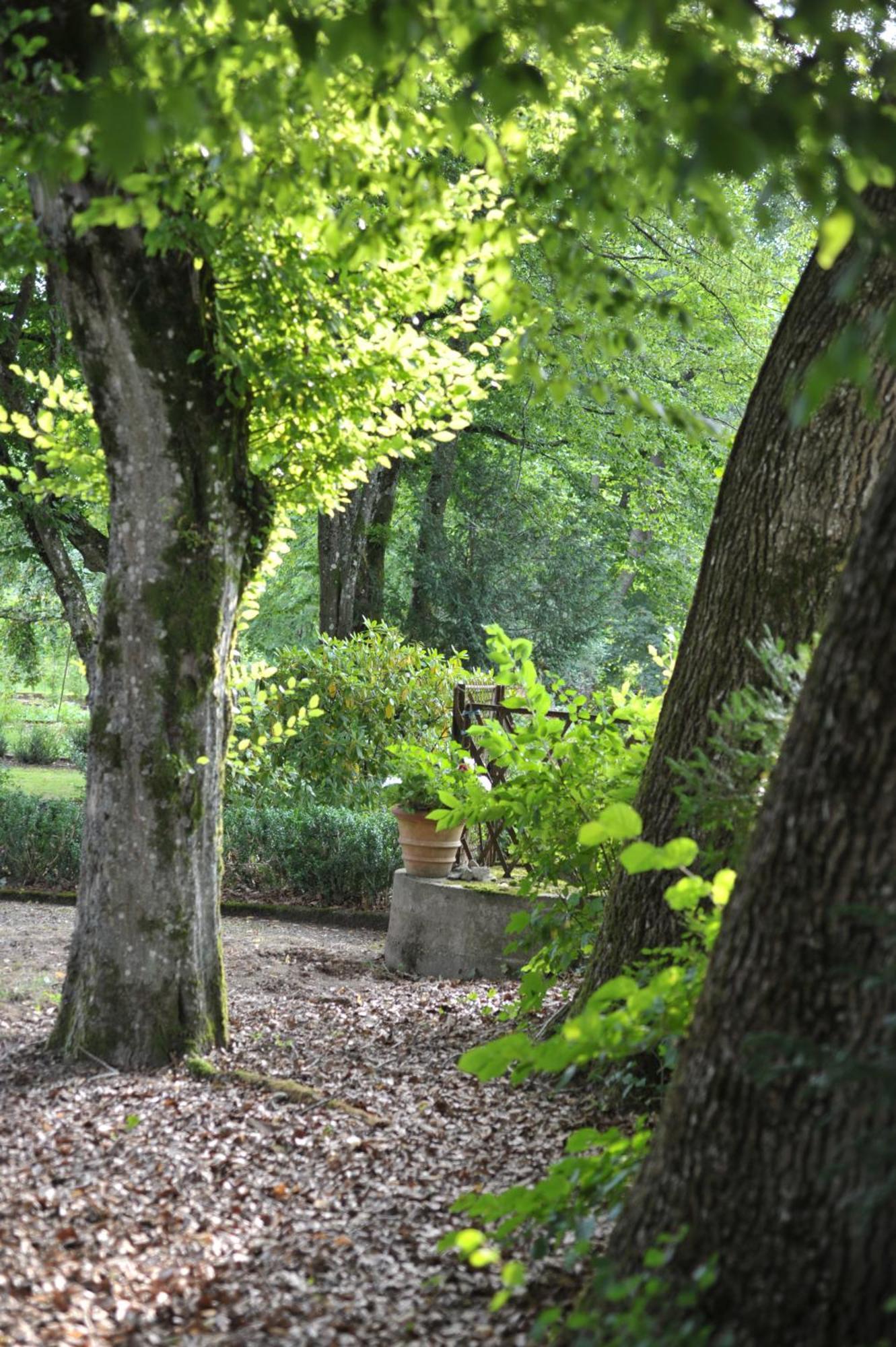 La Maison D'Hotes Du Parc Ronchamp Buitenkant foto