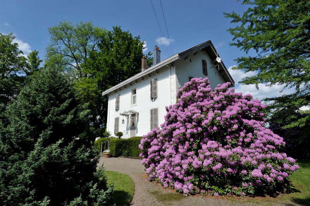 La Maison D'Hotes Du Parc Ronchamp Buitenkant foto